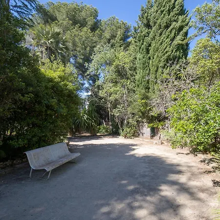 Grand A 5 Minutes A Pied De La * La Ciotat